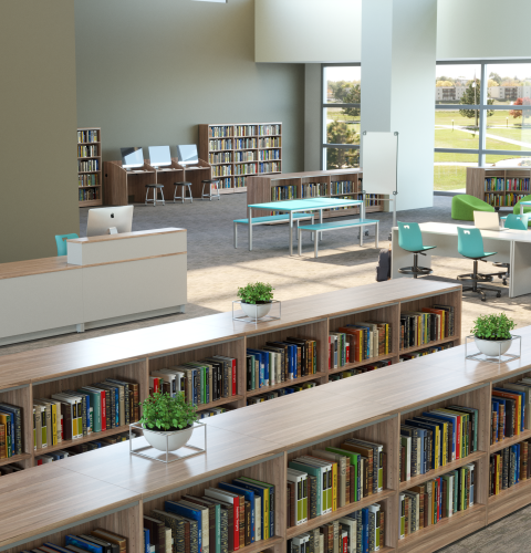 Library with shelves and seating