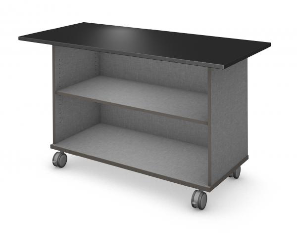 MSL110___ Rendering