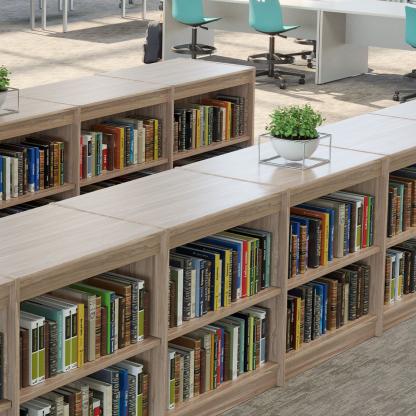 Bookshelves for library storage.