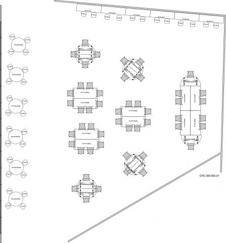 CFE.000.000.01 Plan