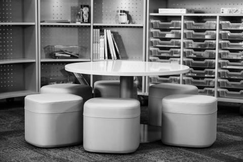 PBRD3686 & SSRS14 & P220 & P421 Black & White Photo Image