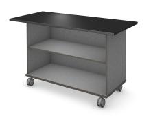 MSL110___ Rendering